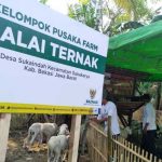 Baznas–Balai-Ternak-ok